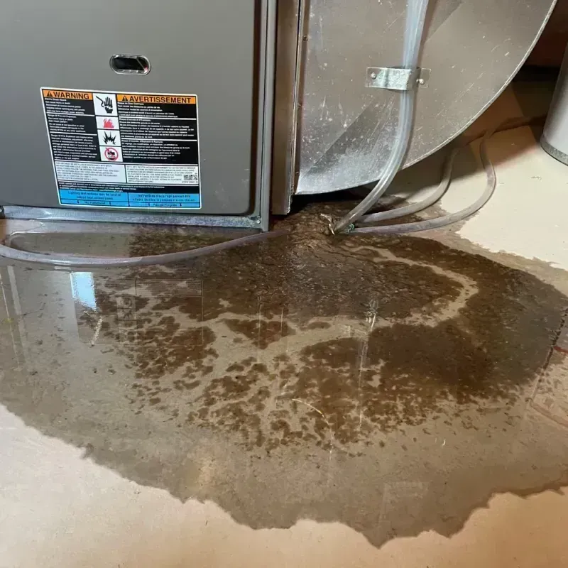 Appliance Leak Cleanup in Cedar County, MO